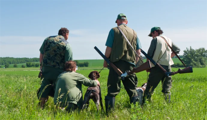Državno prvenstvo u radu lovnih pasa
