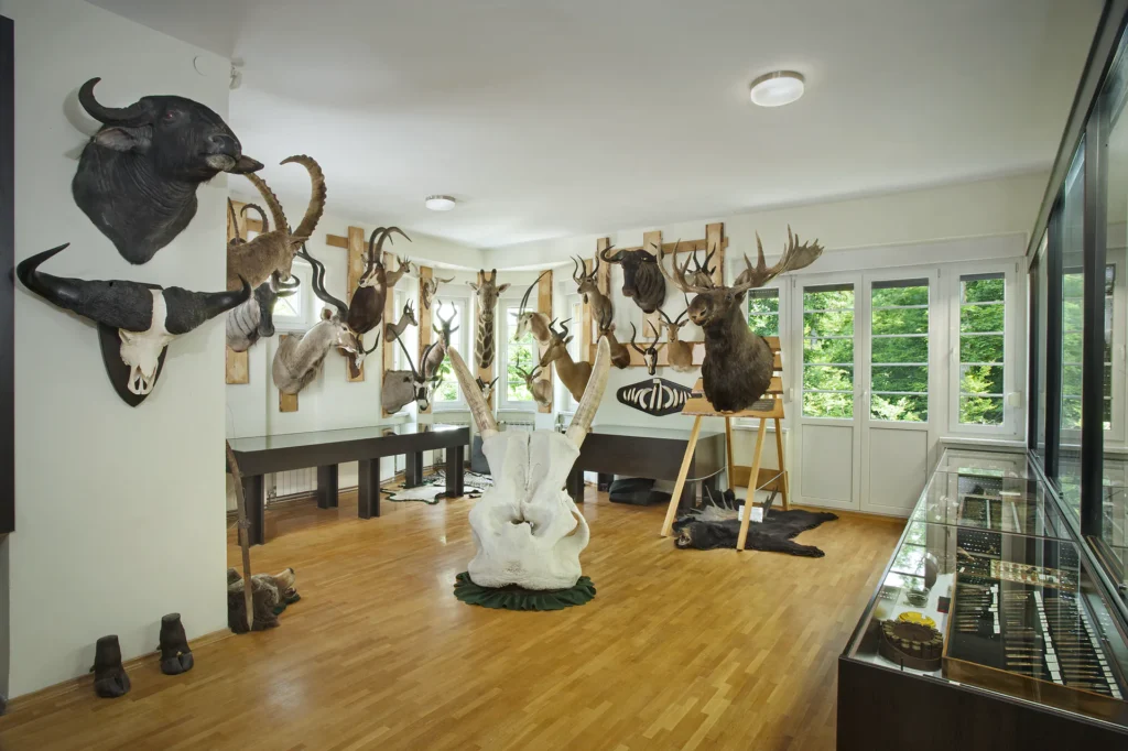 muzej inozemna zbirka