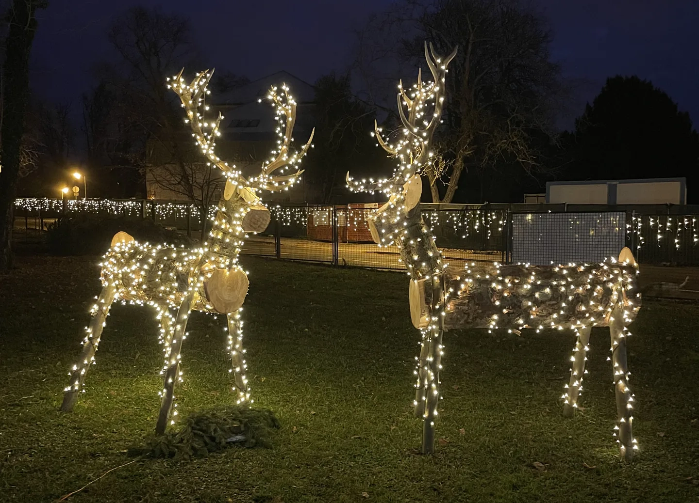 Očekujemo vas i ovog vikenda na Lovačkom Adventu na Tuškancu